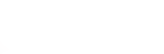 Falmur logo Footer